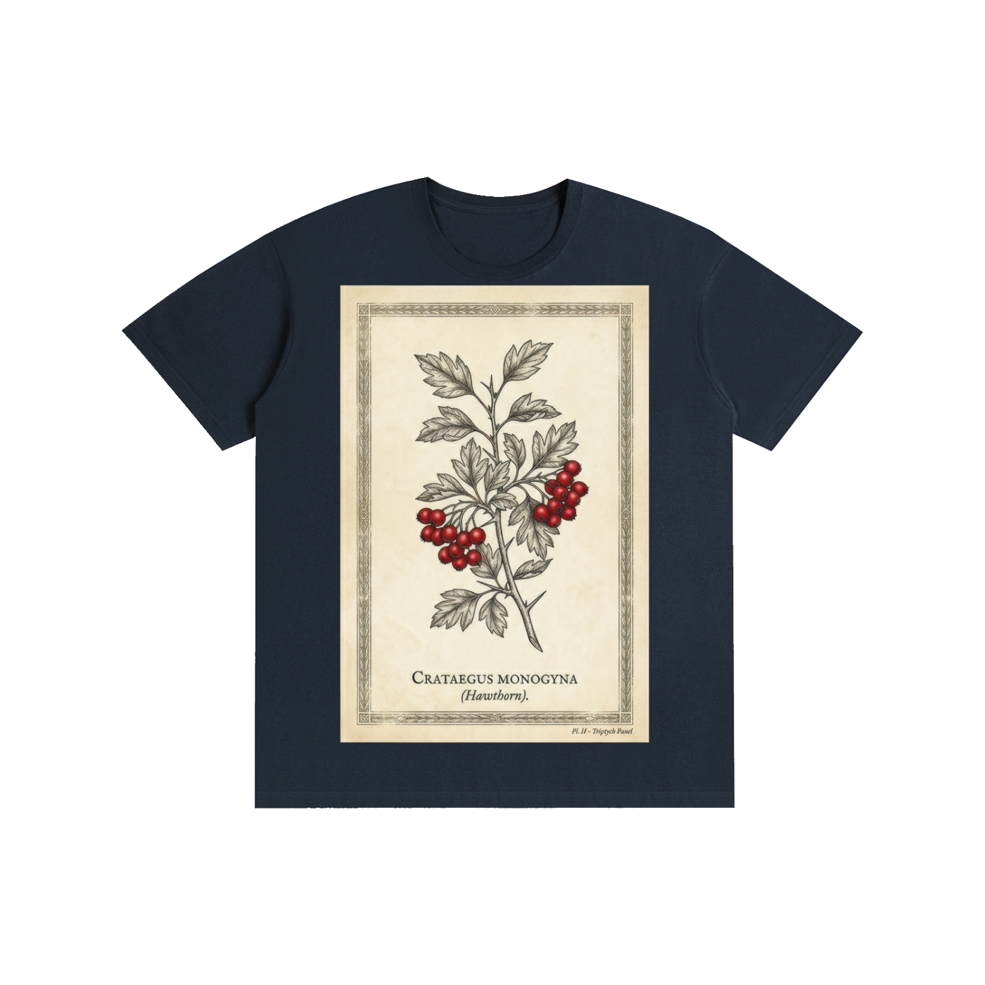 Vintage Hawthorn Botanical Chart Tee