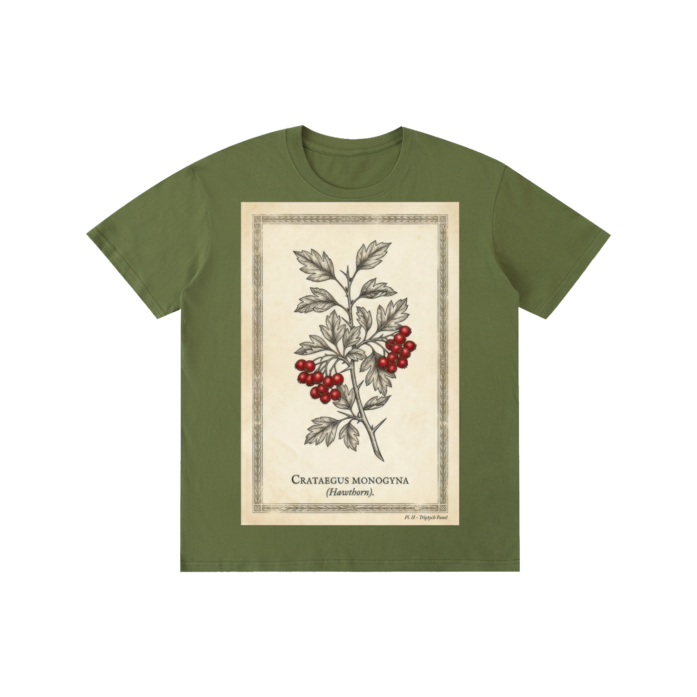 Vintage Hawthorn Botanical Chart Tee