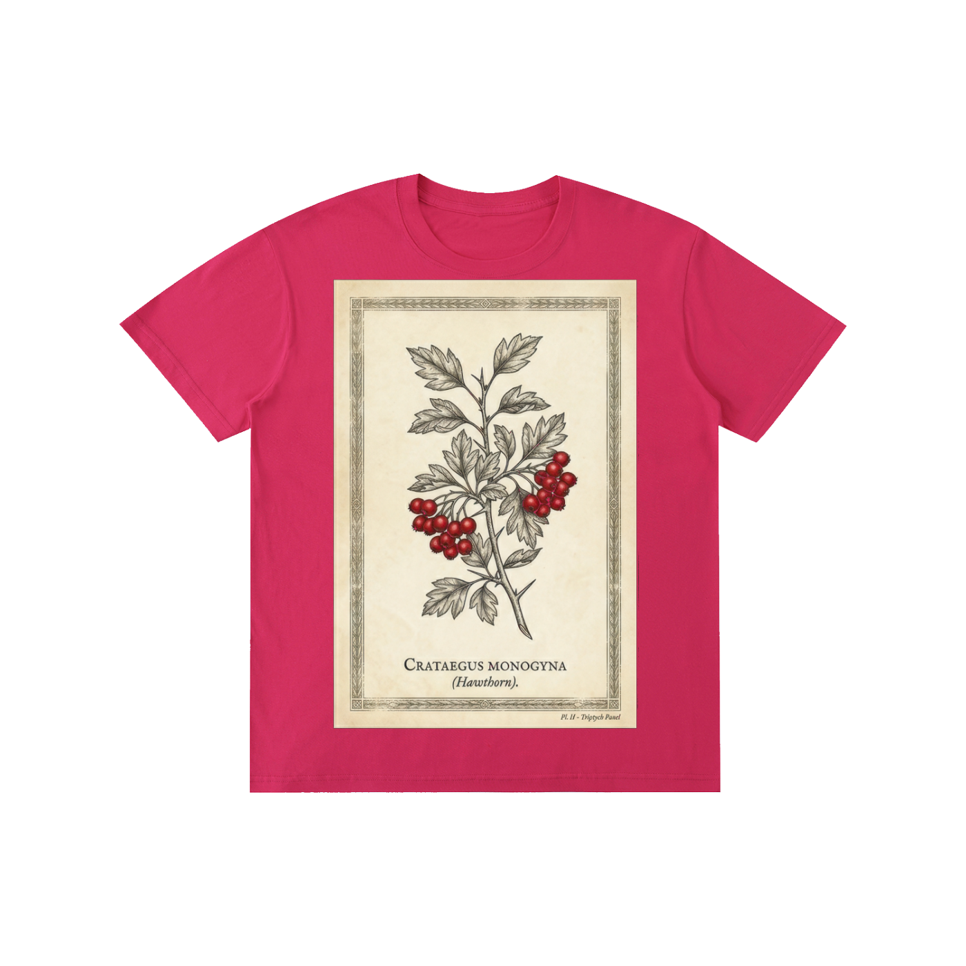 Vintage Hawthorn Botanical Chart Tee