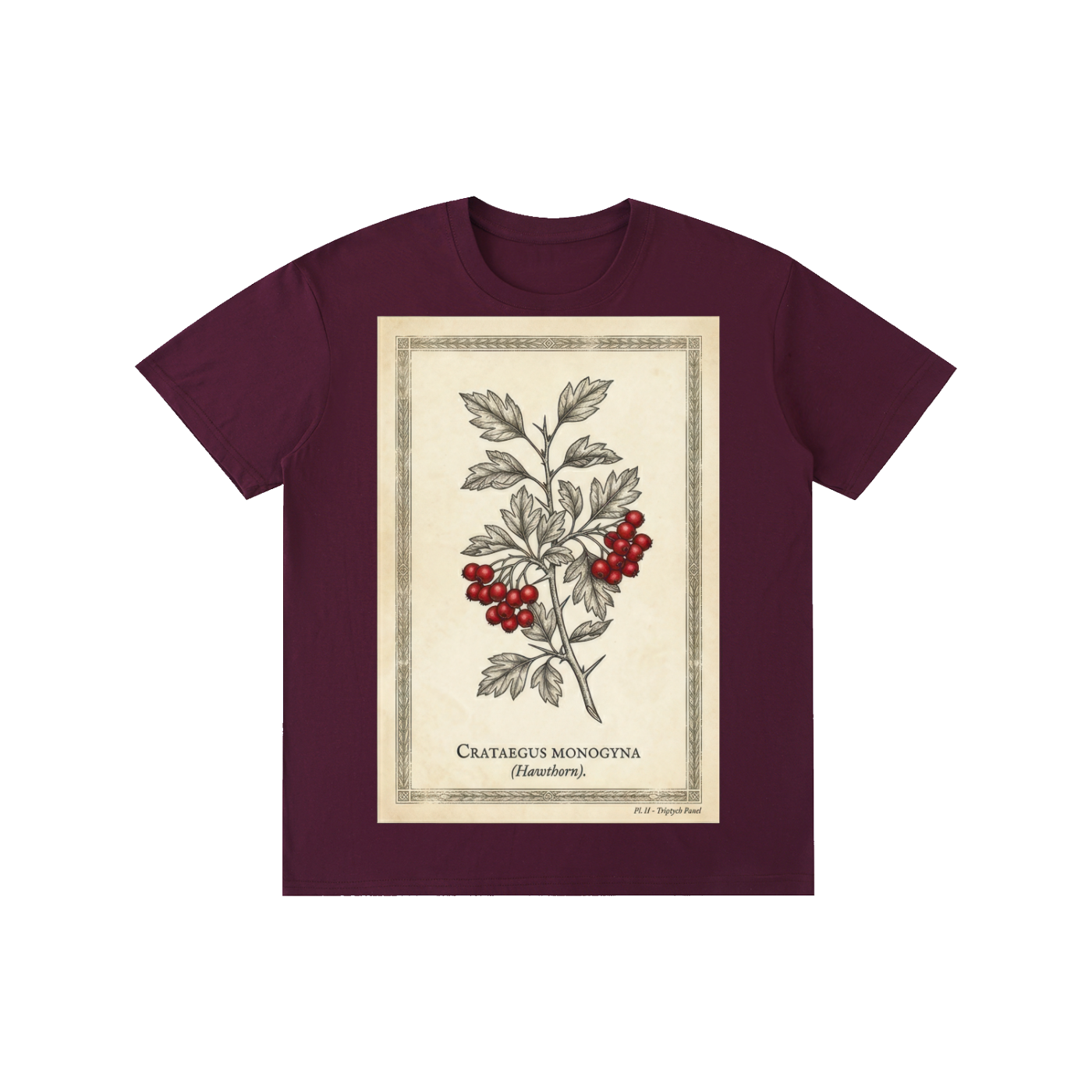 Vintage Hawthorn Botanical Chart Tee