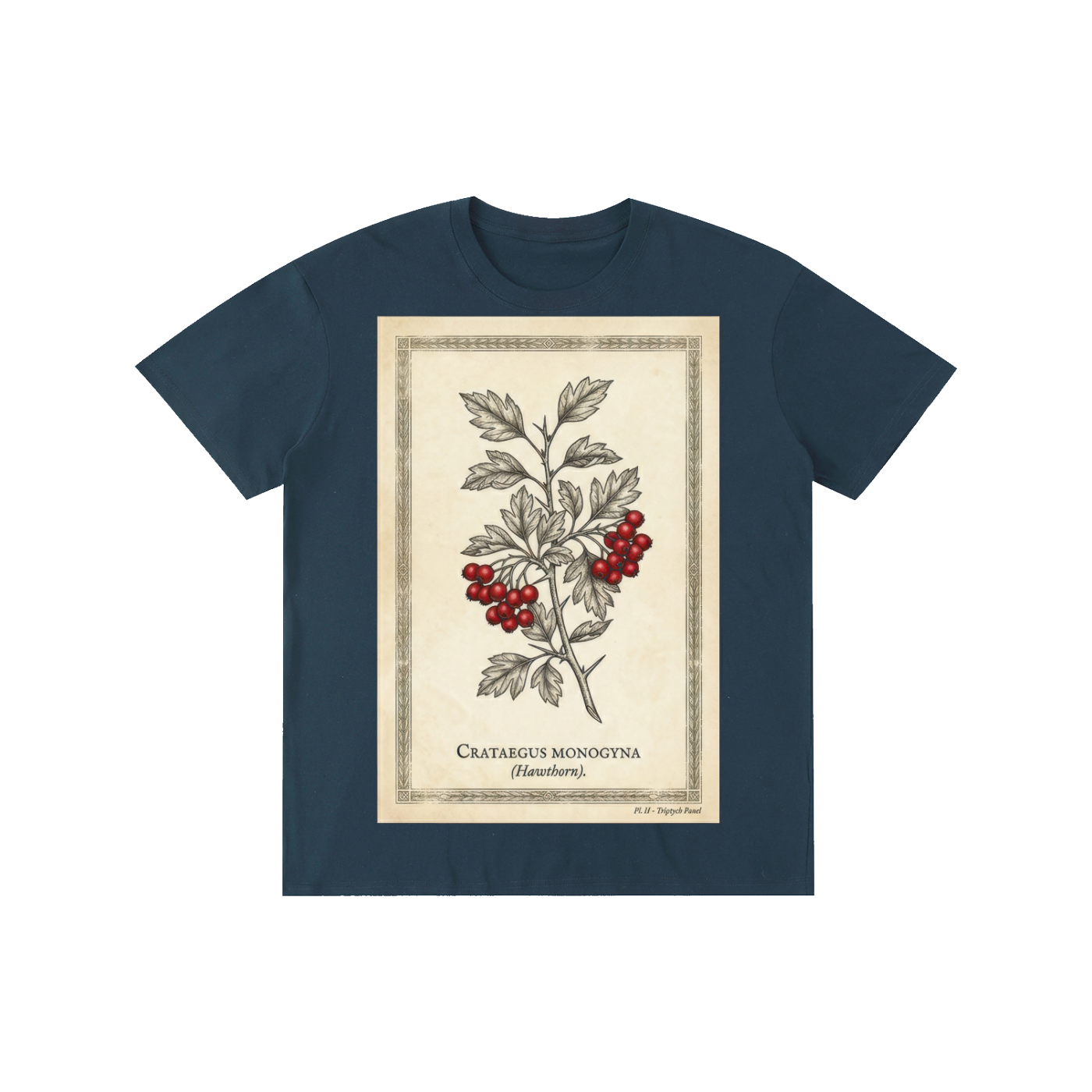 Vintage Hawthorn Botanical Chart Tee