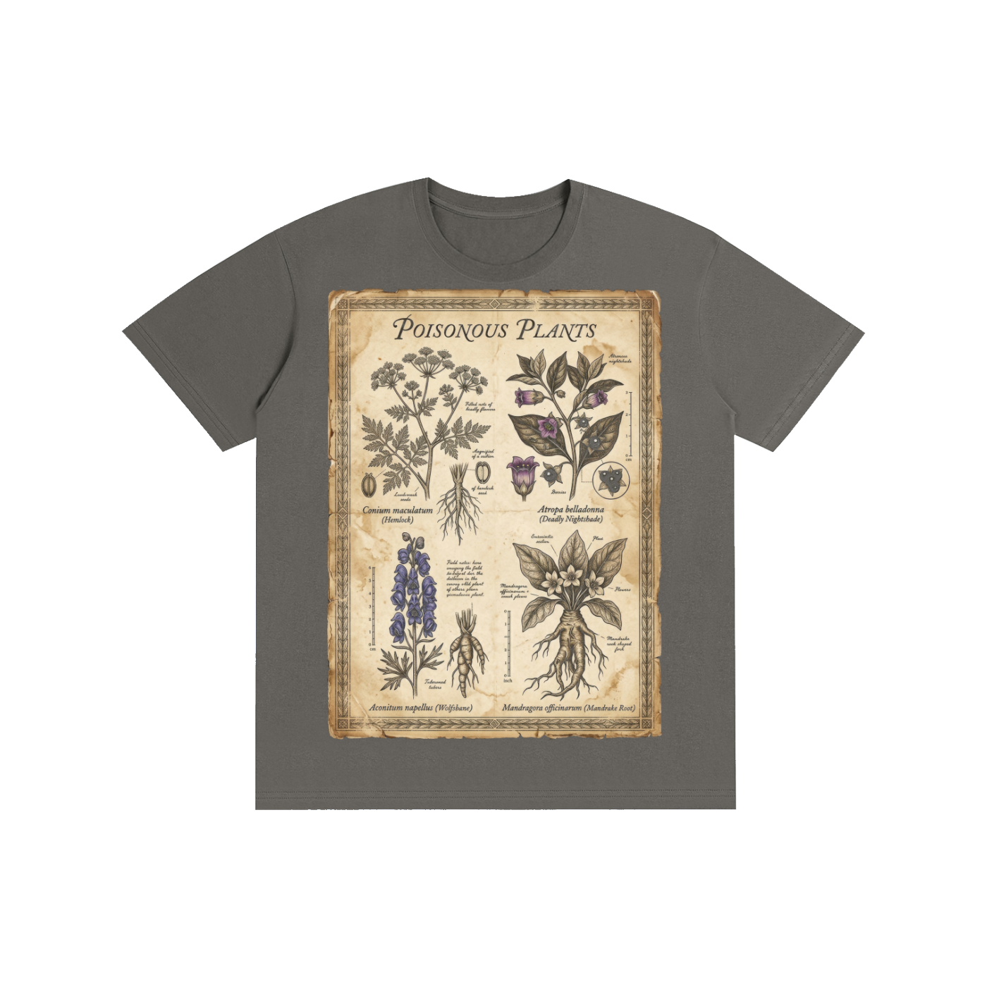 Poisonous Plants Botanical Graphic Tee