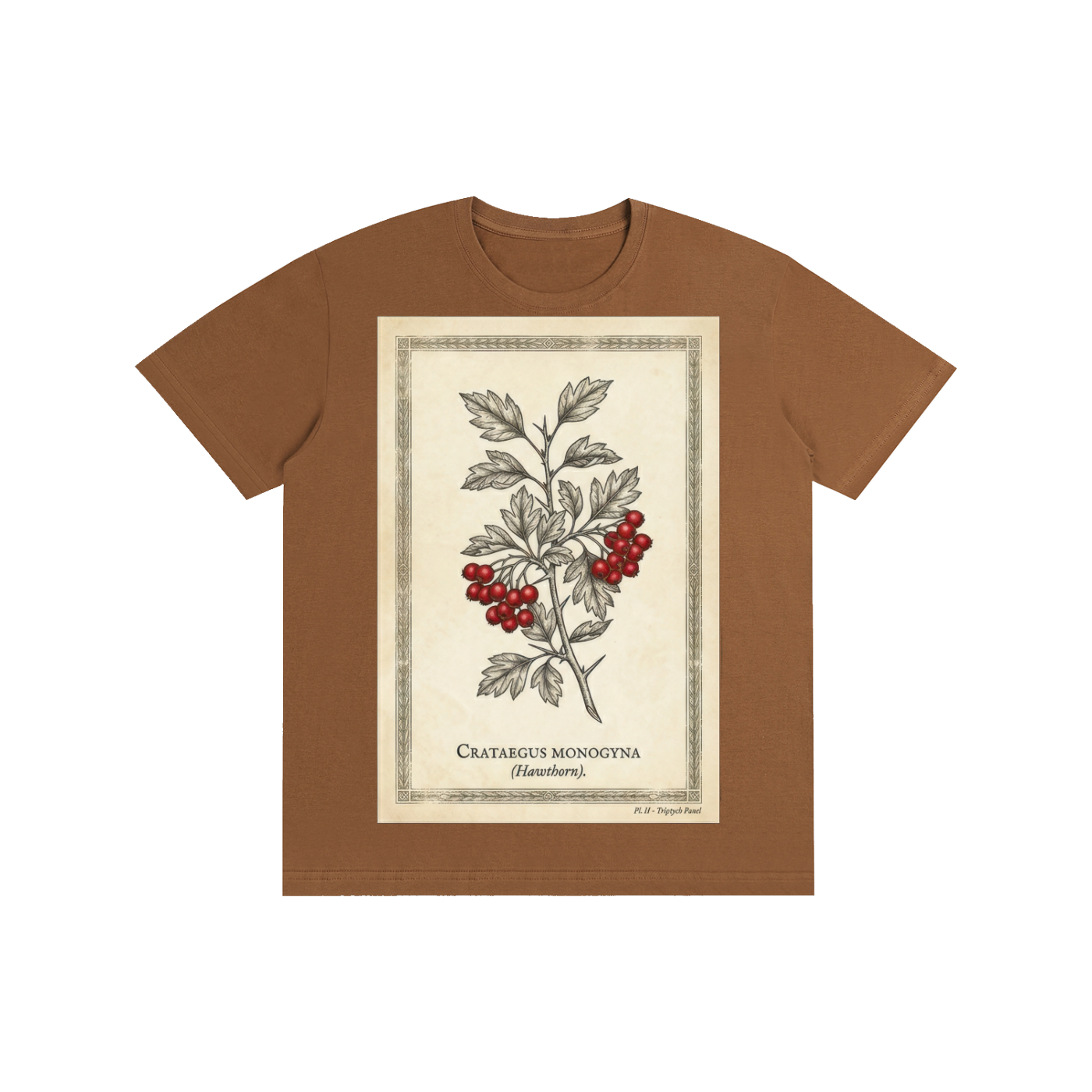 Vintage Hawthorn Botanical Chart Tee