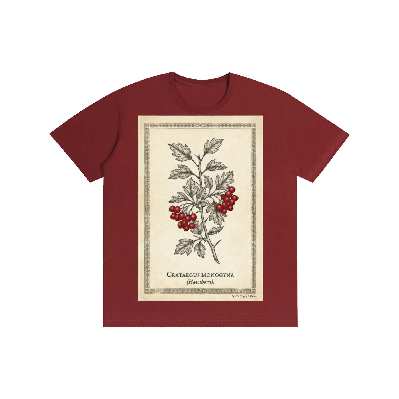 Vintage Hawthorn Botanical Chart Tee